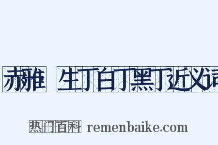 赤雅·生丁白丁黑丁近义词是什么意思的图片
